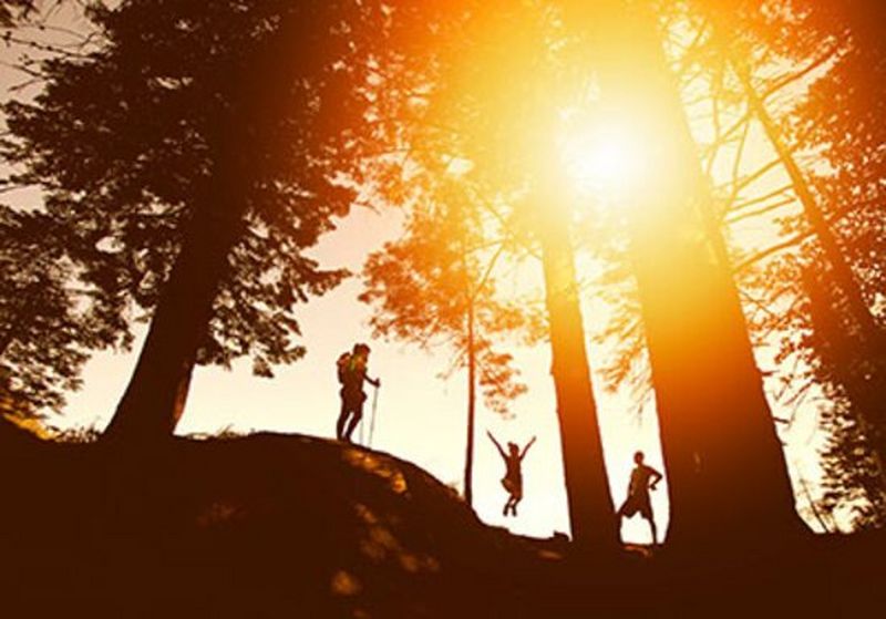 Canon ondersteunt uw digitale transformatiereis en versterkt de klantinteractie